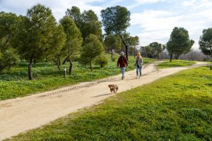 Más ayudas para caminos rurales