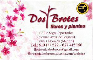 Floristería Dos Brotes en Alcorcón