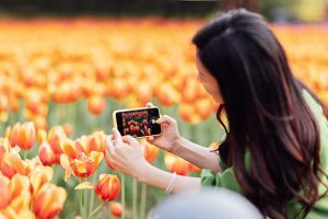Un jardín de tulipanes en Madrid