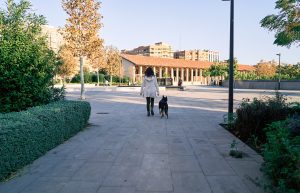 Parque Enrique Tierno Galván 
